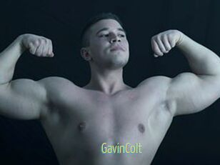 GavinColt