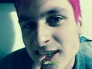Gay411