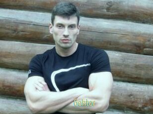 Gektor