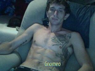 Gnomeo