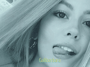 Gallibarbara