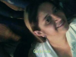 Gatita_mala