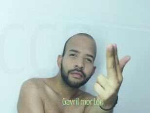 Gavril_morton