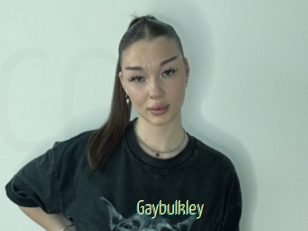 Gaybulkley