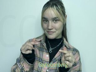 Gayhaizenberg