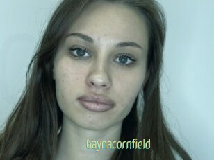 Gaynacornfield