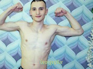 Georgepillar