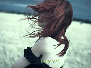 Gingercat