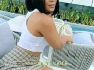 Gingerspice202