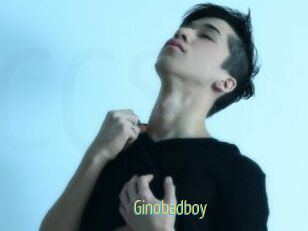 Ginobadboy