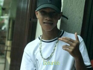 Gohanbb