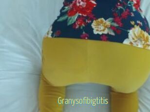 Granysofibigtitis