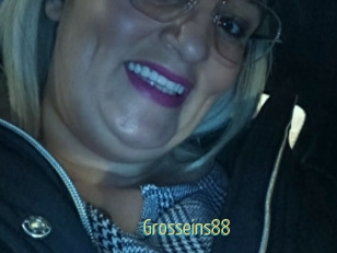 Grosseins88