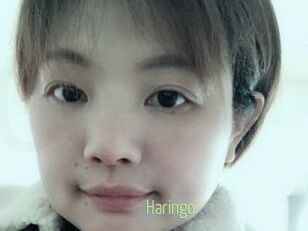 Haringo