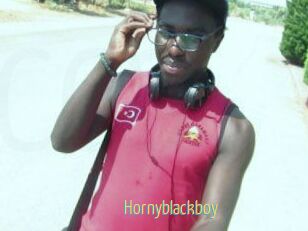 Hornyblackboy