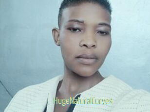 HugeNaturalCurves