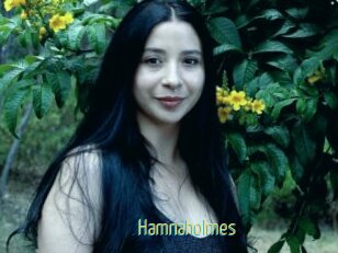 Hamnaholmes