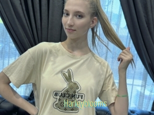 Harleyblooms