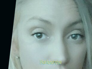 Harlowrose