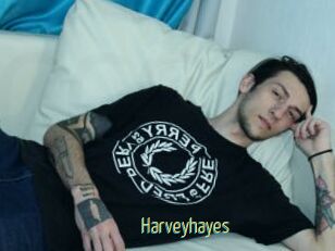 Harveyhayes