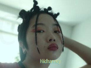 Hildhanney