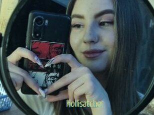 Hollisatcher