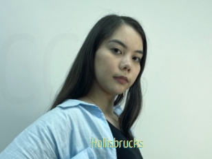 Hollisbrucks