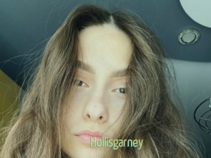 Hollisgarney