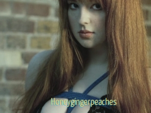 Honeygingerpeaches