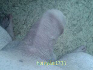 Hornydan1733