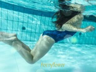 Hornyflower