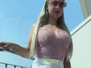 Hotdaisy