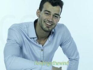 Howlinginthewind