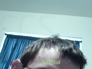 Hungstud