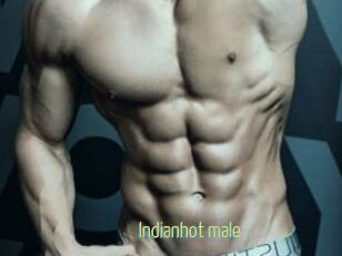 Indianhot_male