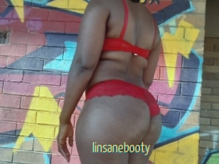 Iinsanebooty
