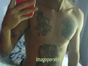 Imagopervert