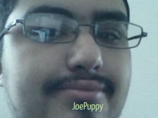 JoePuppy
