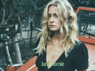 JunieHornie