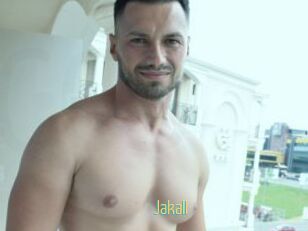 Jakall
