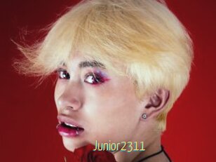 Junior2311