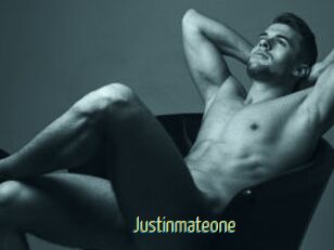 Justinmateone