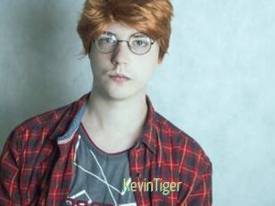KevinTiger