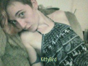 KittyBird