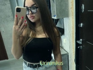 Karinamikus