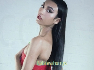 kataleyahornys Chaturbate Cam Sexe