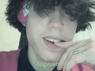 Kingsnowbunny