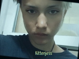 Kittenjess