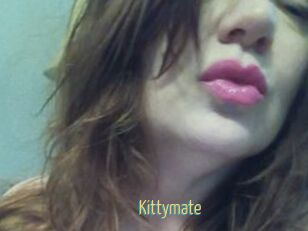 Kittymate