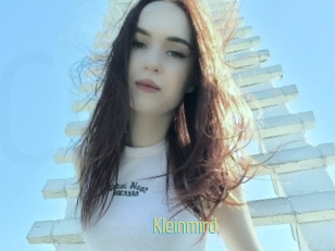 Kleinmird